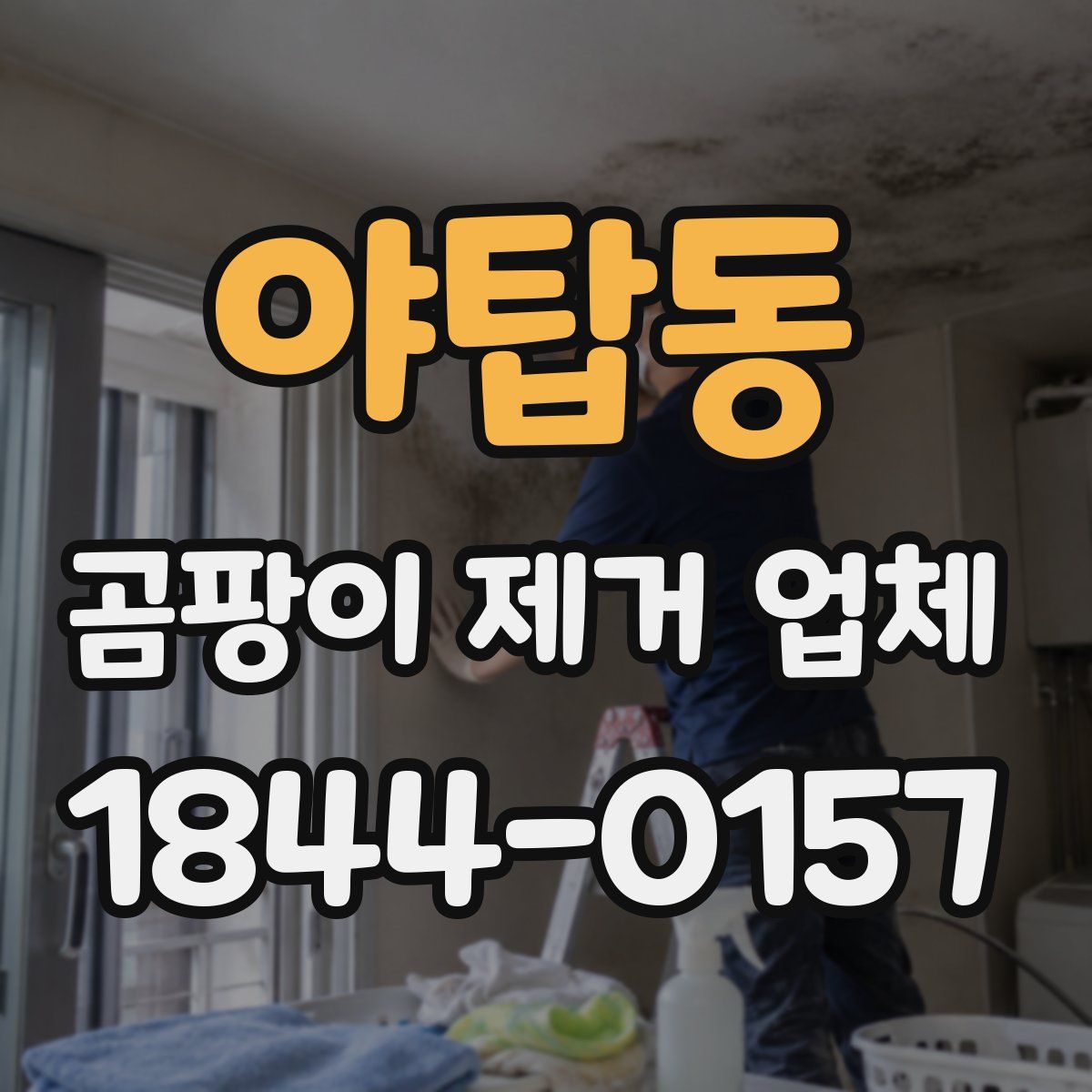 야탑동 곰팡이 제거 업체