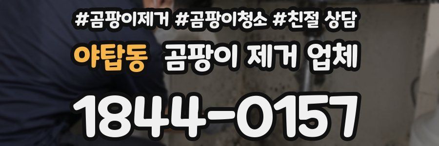 야탑동 곰팡이 제거 업체