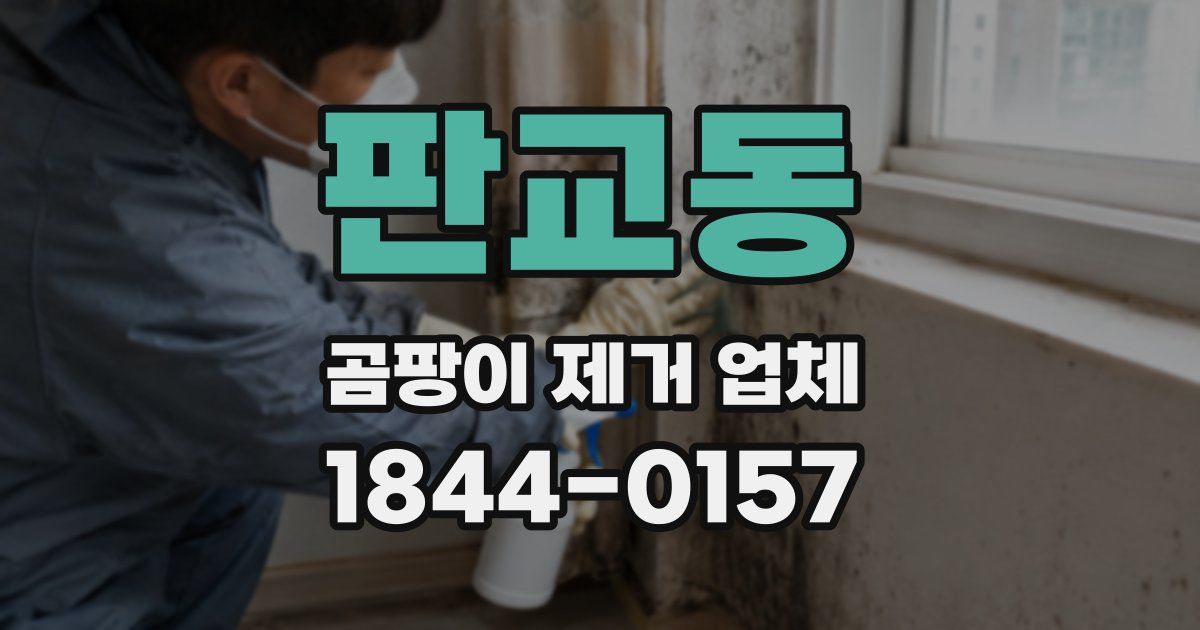 판교동 곰팡이 제거 업체