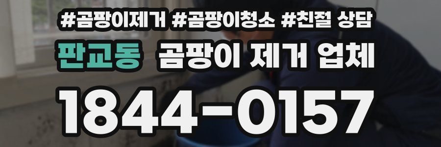 판교동 곰팡이 제거 업체