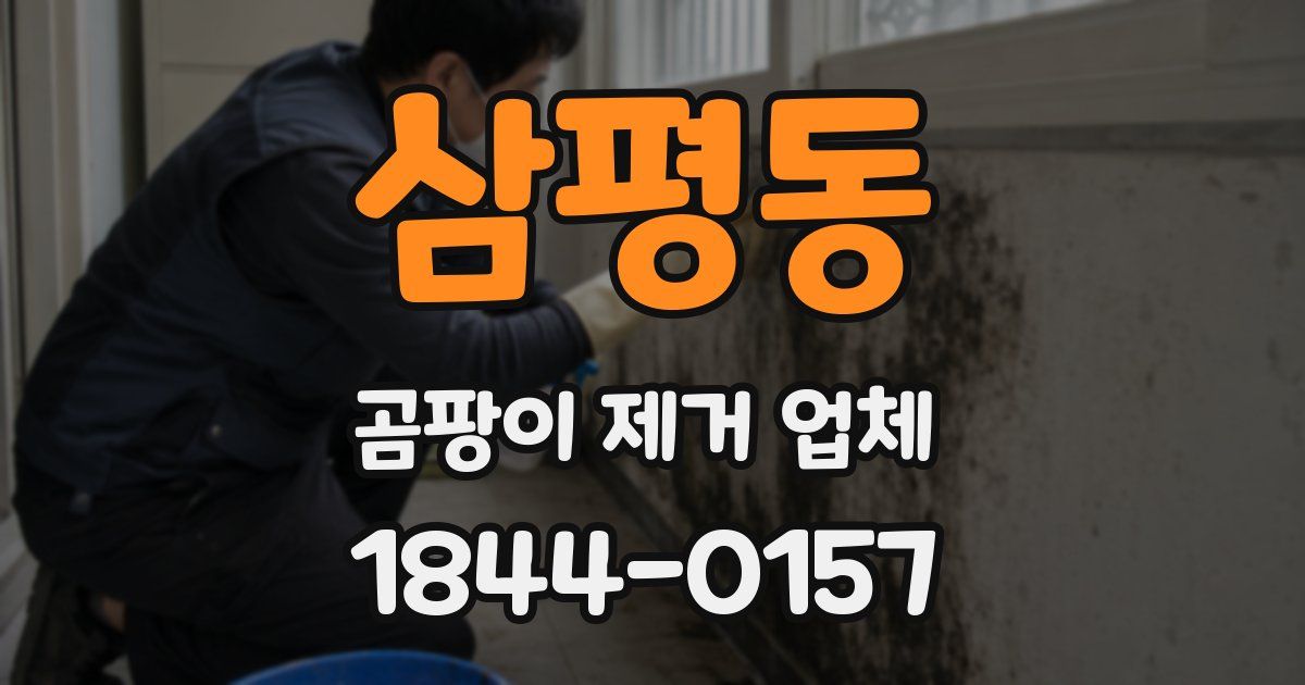 삼평동 곰팡이 제거 업체