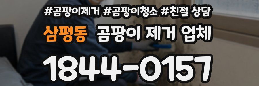 삼평동 곰팡이 제거 업체