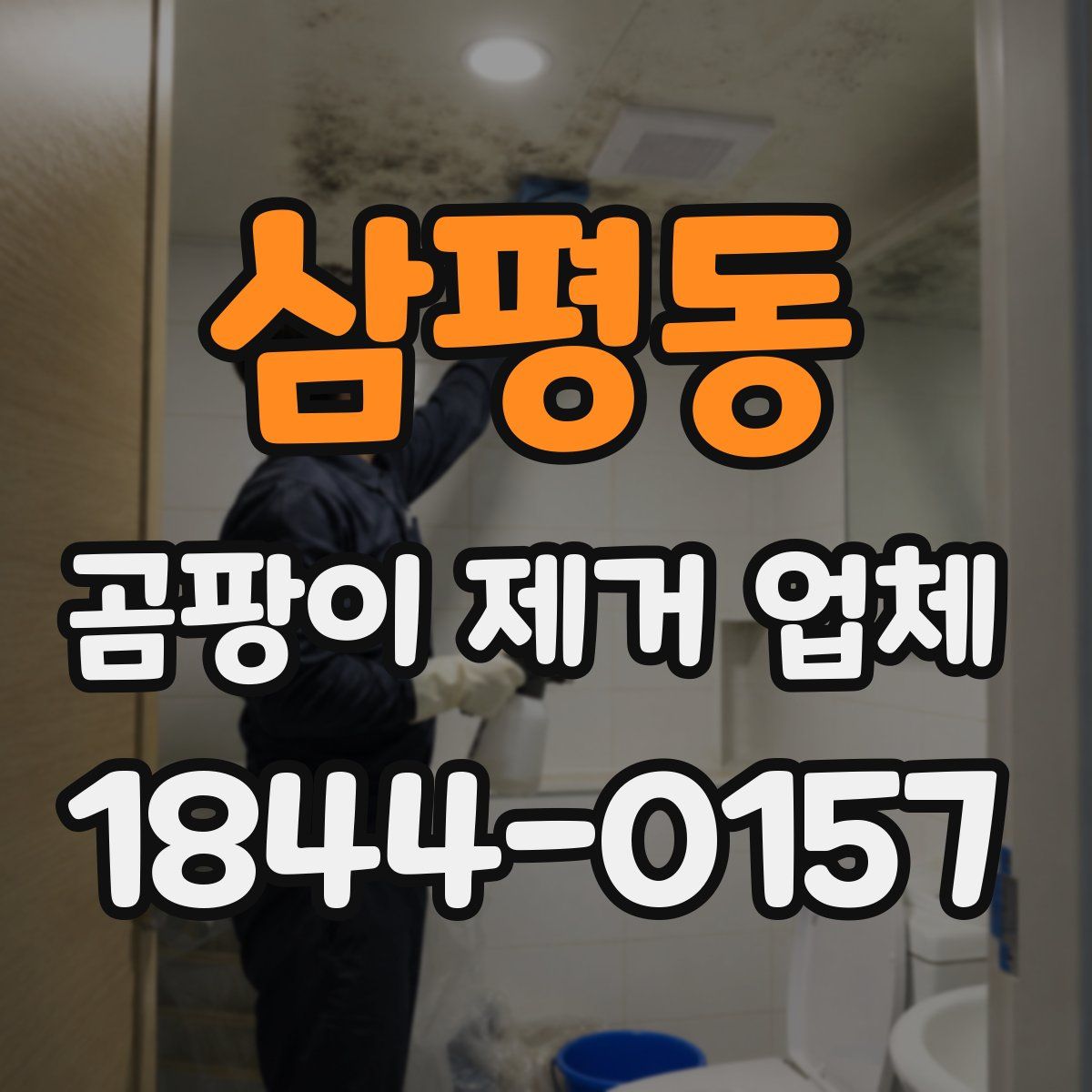 삼평동 곰팡이 제거 업체