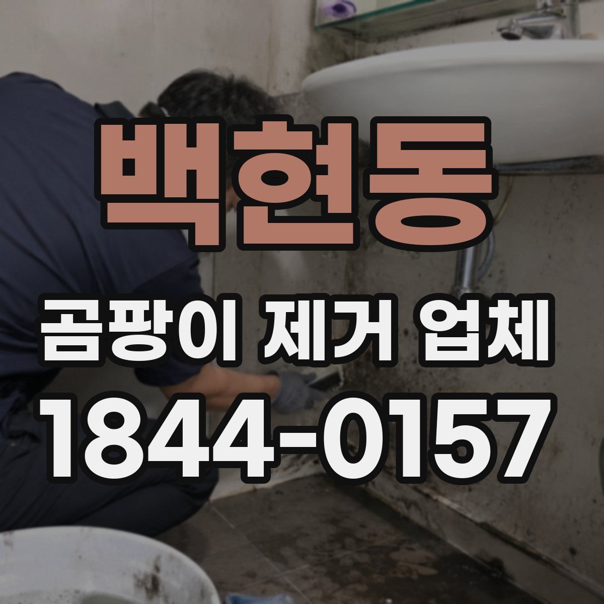 백현동 곰팡이 제거 업체