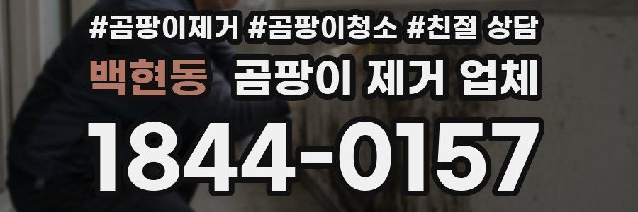 백현동 곰팡이 제거 업체