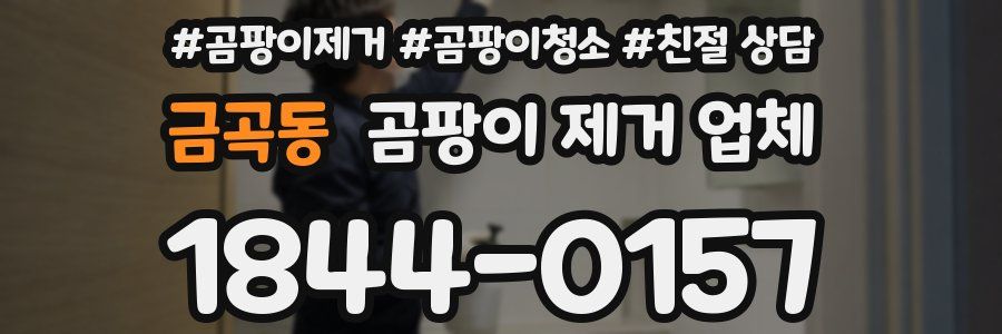 금곡동 곰팡이 제거 업체