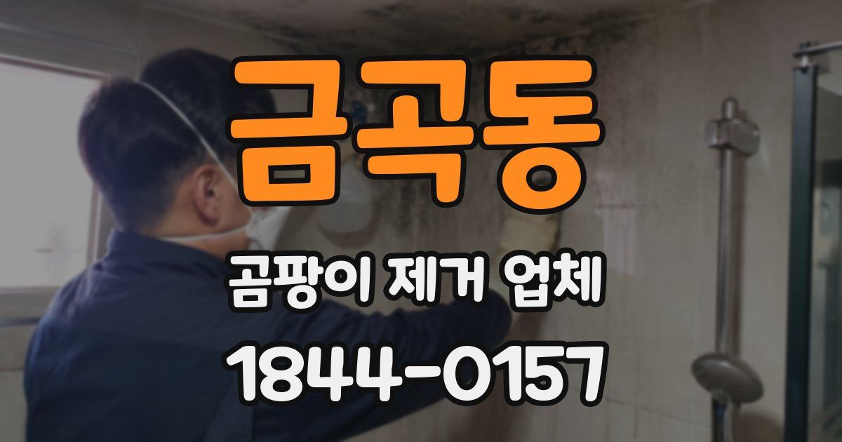금곡동 곰팡이 제거 업체