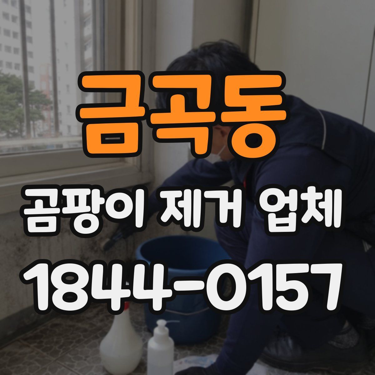 금곡동 곰팡이 제거 업체