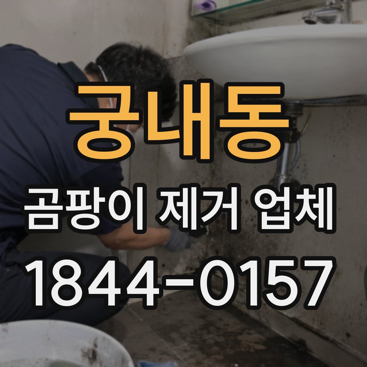 궁내동 곰팡이 제거 업체