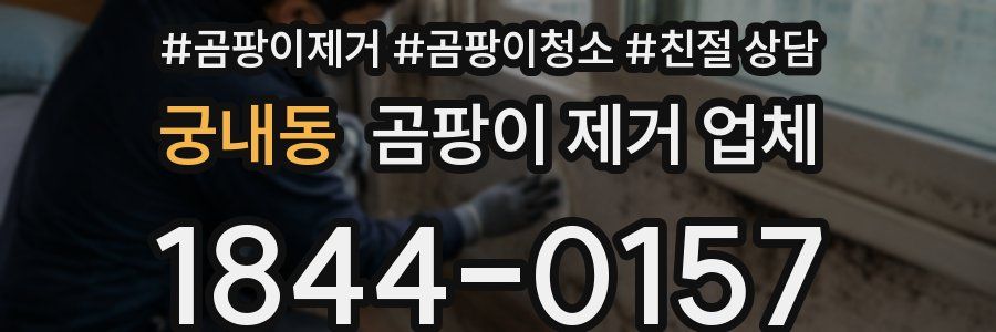 궁내동 곰팡이 제거 업체