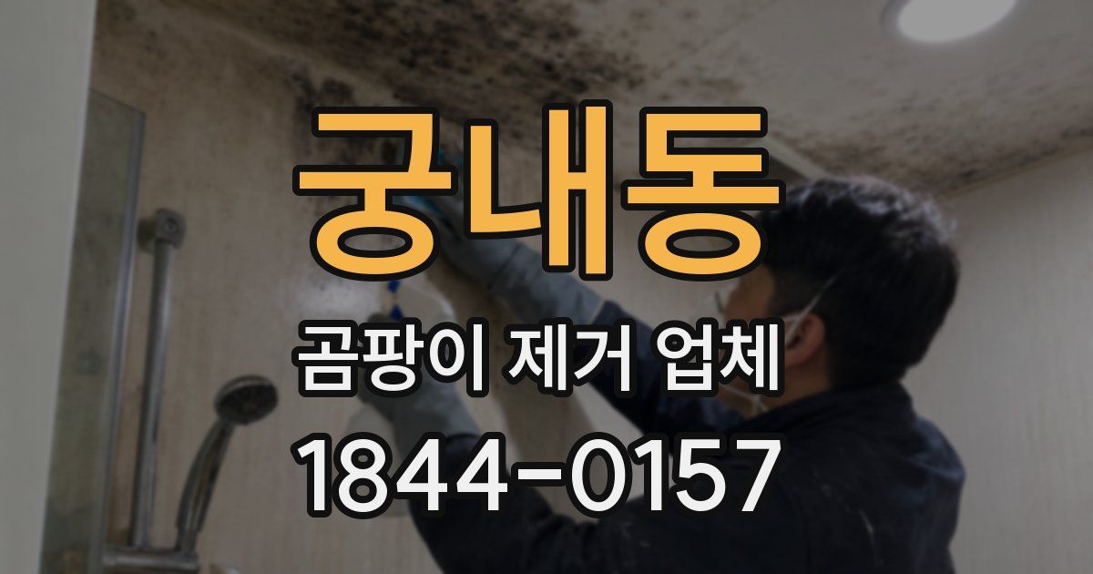 궁내동 곰팡이 제거 업체