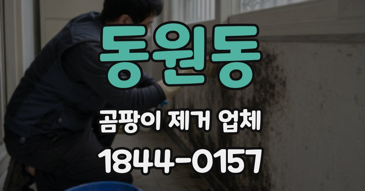 동원동 곰팡이 제거 업체