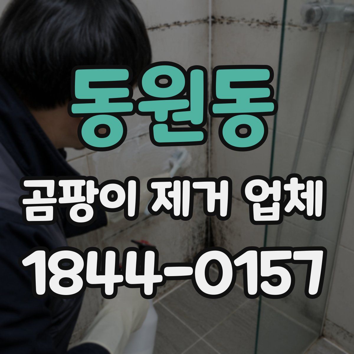 동원동 곰팡이 제거 업체