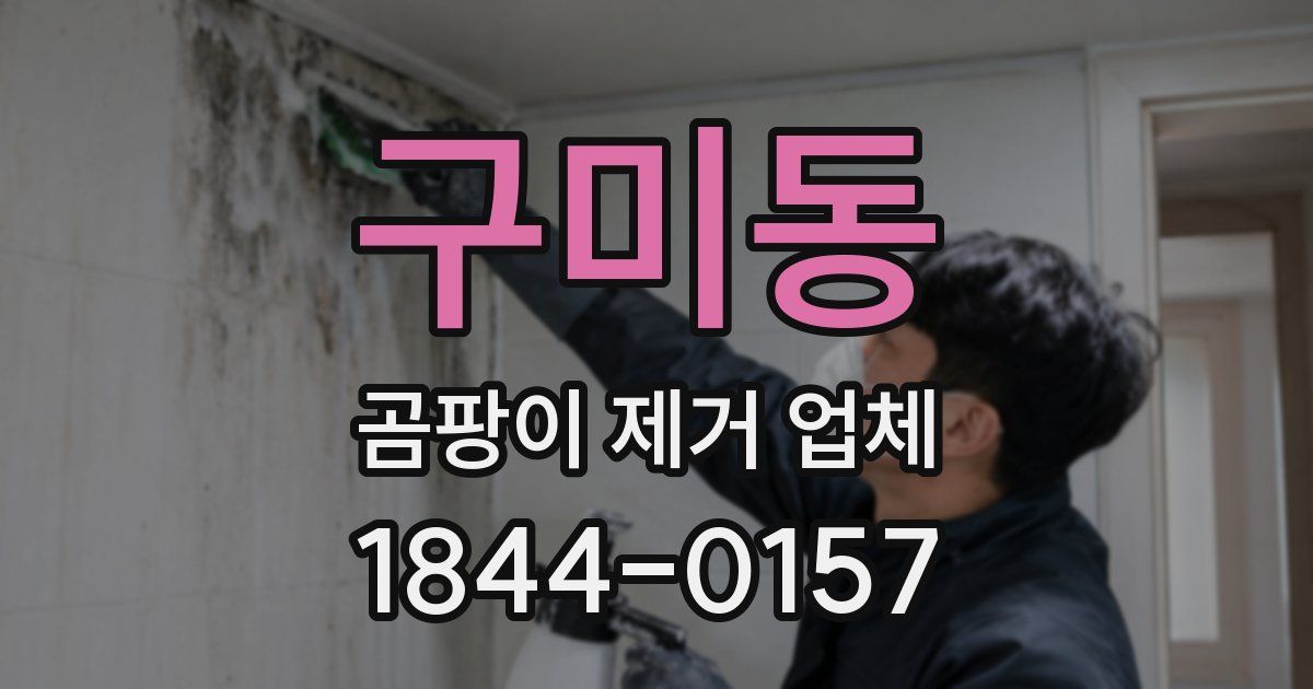 구미동 곰팡이 제거 업체