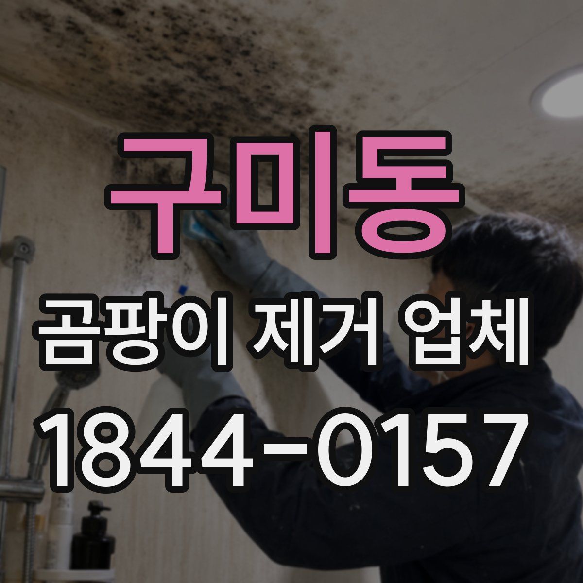 구미동 곰팡이 제거 업체