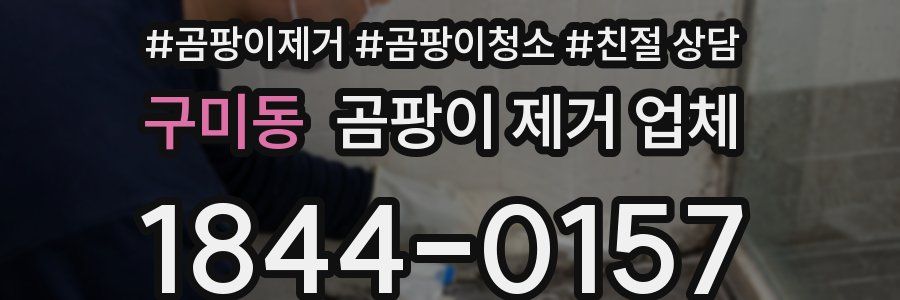 구미동 곰팡이 제거 업체