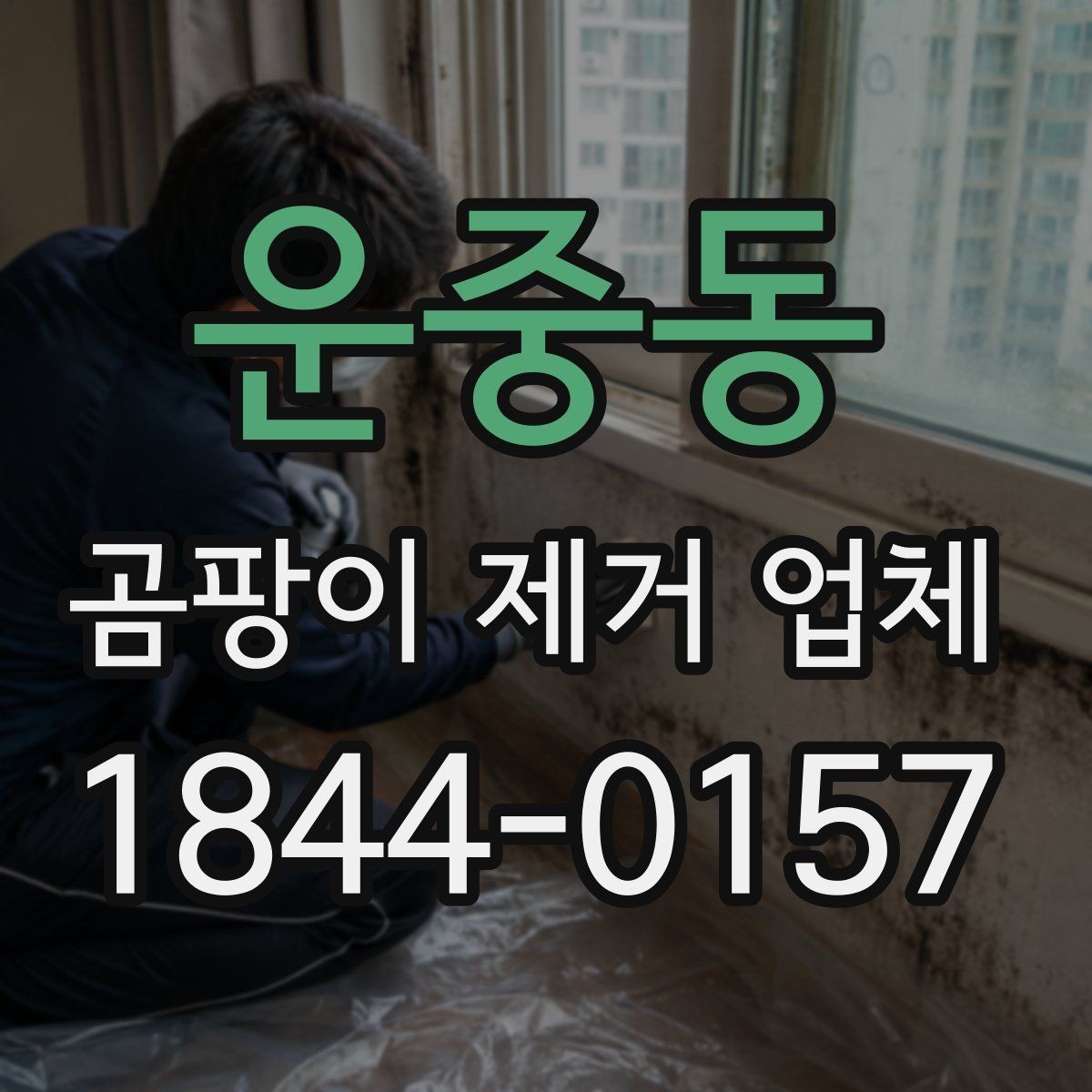 운중동 곰팡이 제거 업체 선택에 도움이 되는 체크리스트