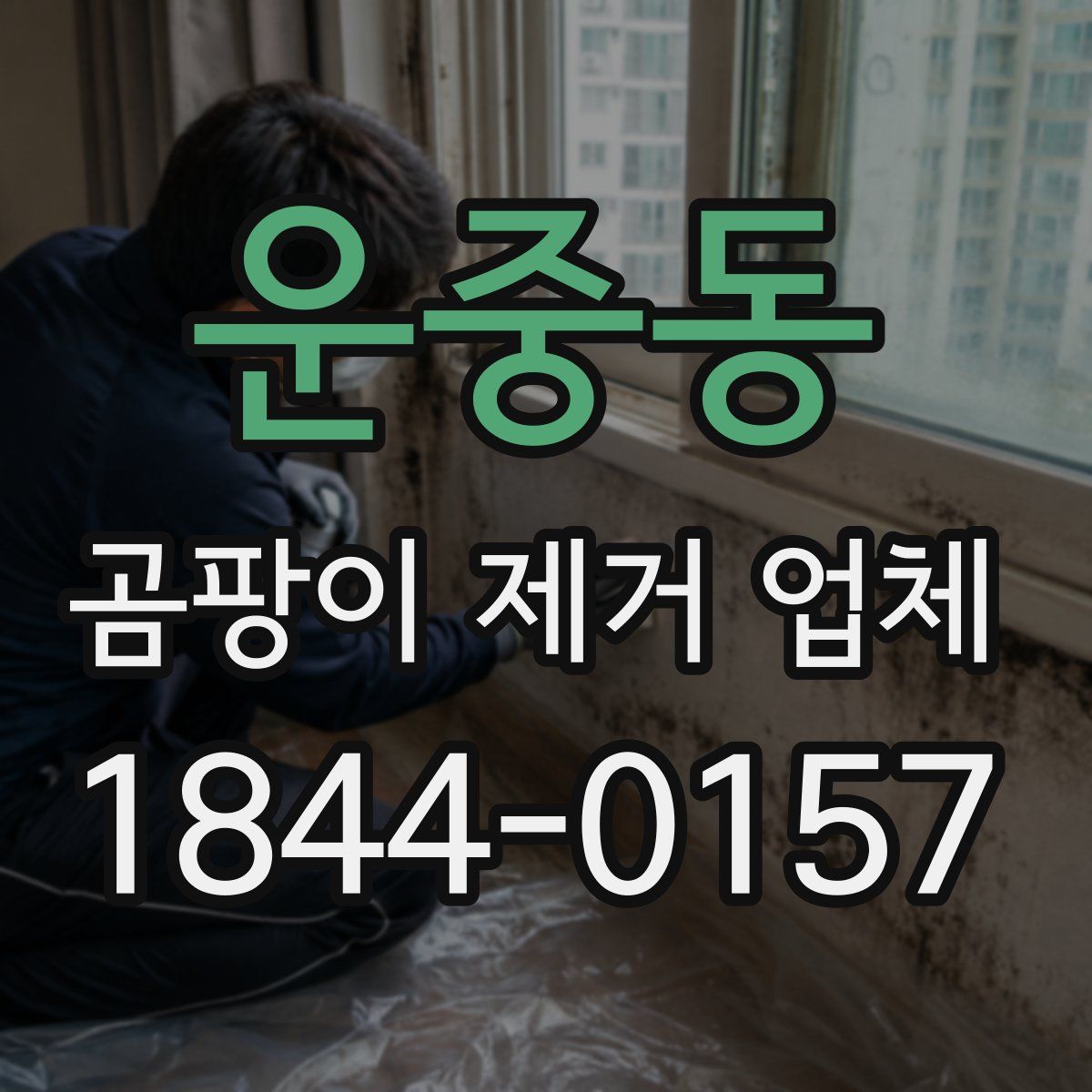 운중동 곰팡이 제거 업체