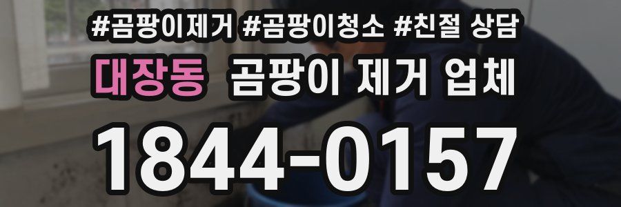 대장동 곰팡이 제거 업체