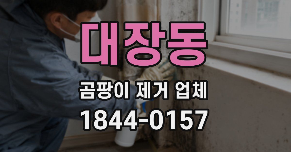 대장동 곰팡이 제거 업체