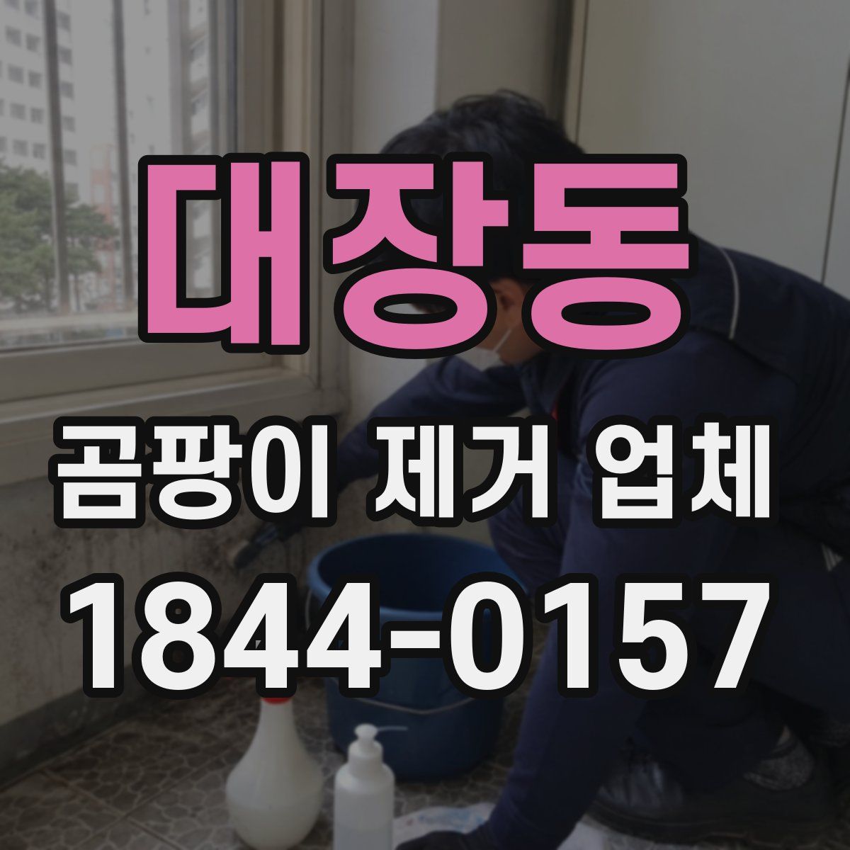 대장동 곰팡이 제거 업체