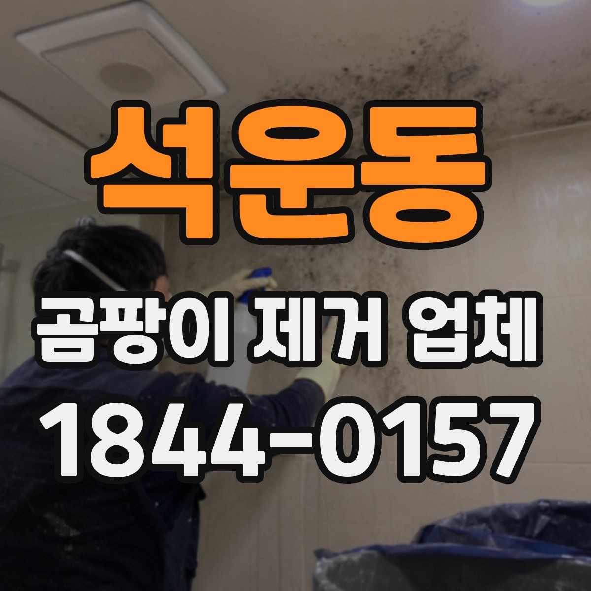 석운동 곰팡이 제거 업체 비용 구성 이해하기