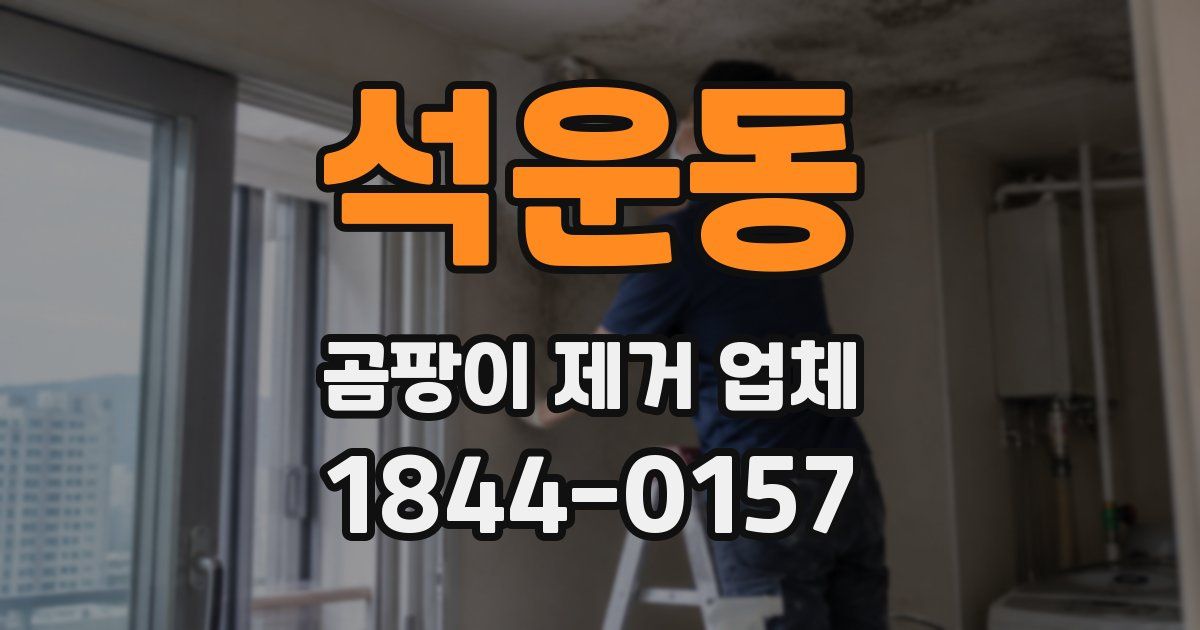 석운동 곰팡이 제거 업체