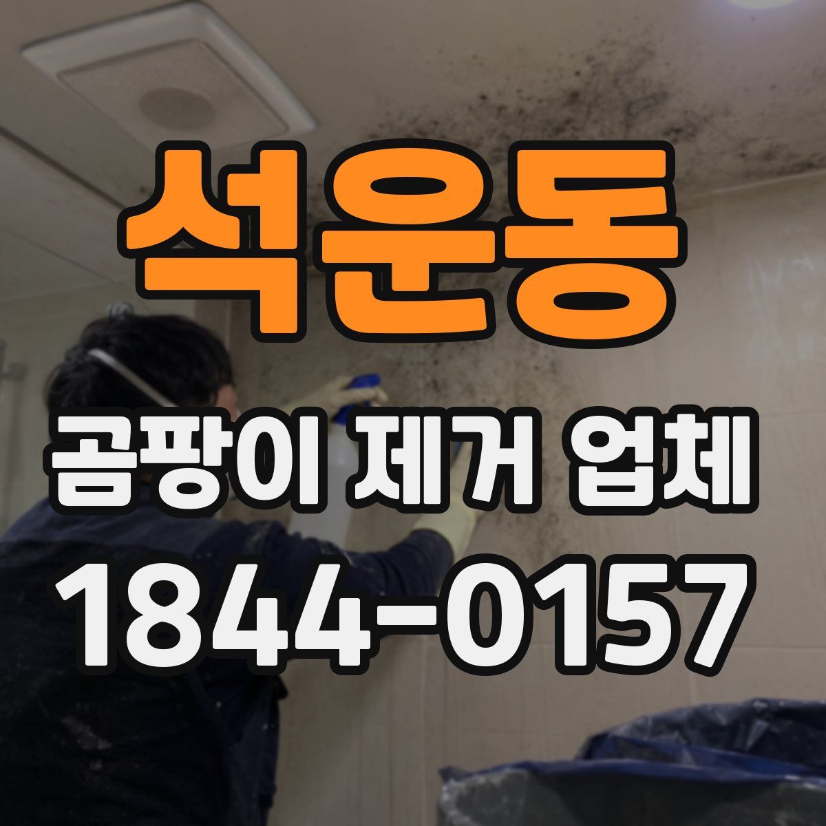 석운동 곰팡이 제거 업체