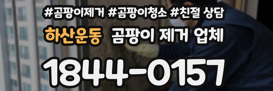 하산운동 곰팡이 제거 업체