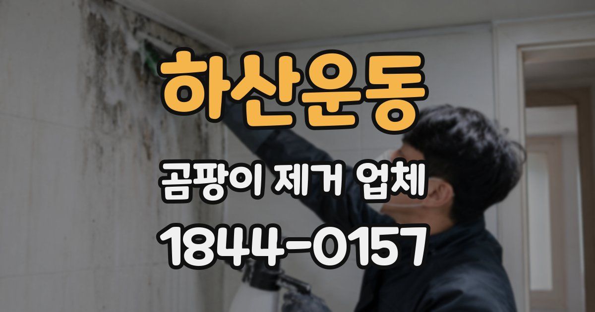 하산운동 곰팡이 제거 업체