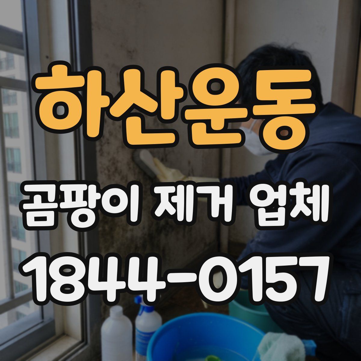 하산운동 곰팡이 제거 업체