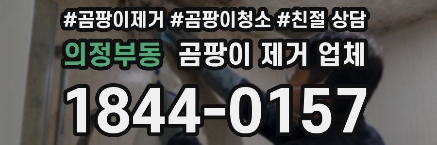 의정부동 곰팡이 제거 업체