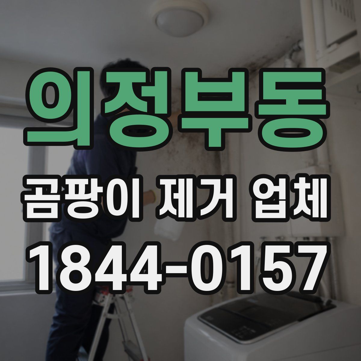 의정부동 곰팡이 제거 업체