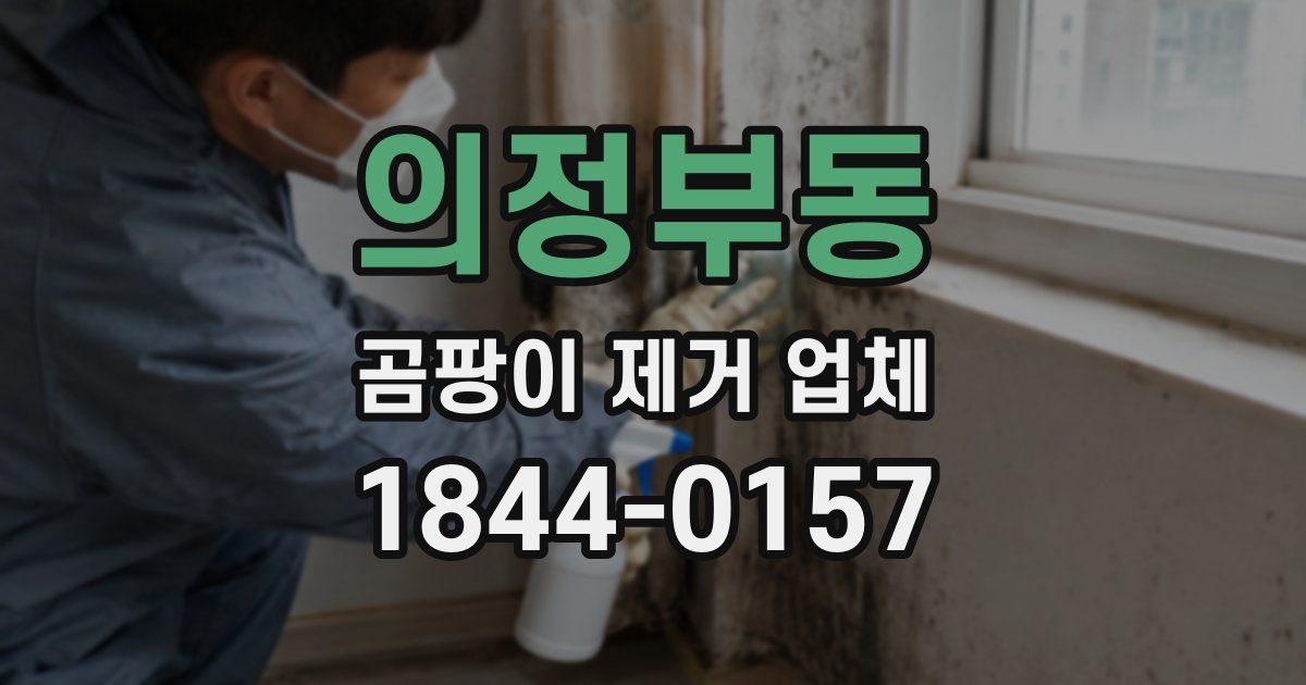 의정부동 곰팡이 제거 업체