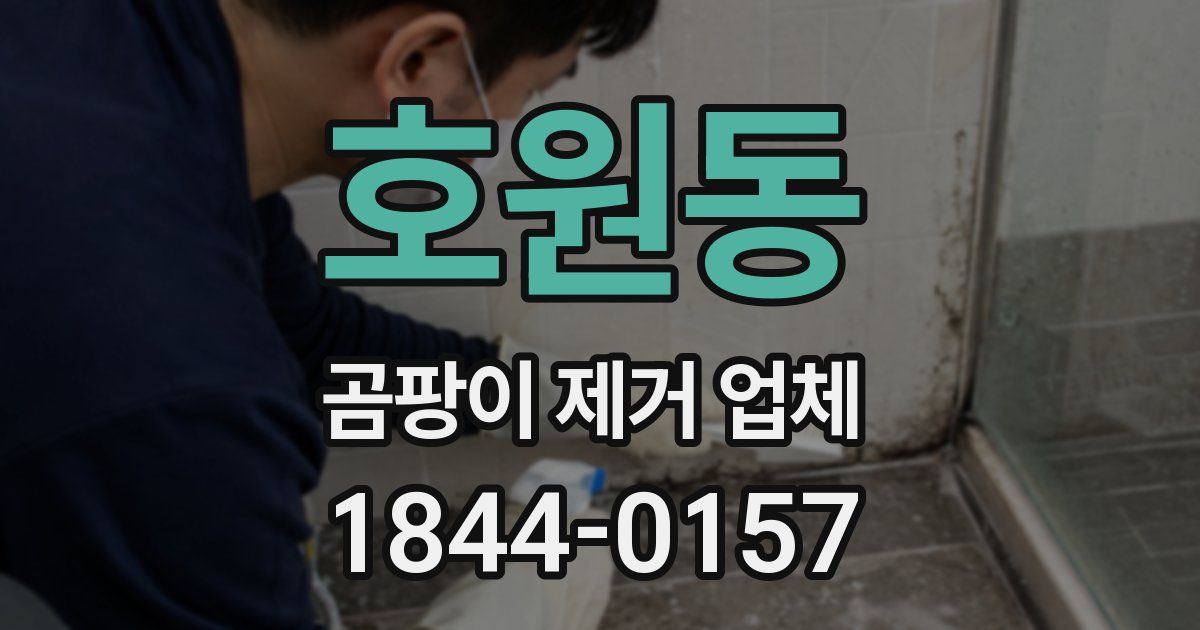 호원동 곰팡이 제거 업체
