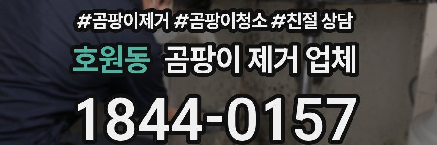 호원동 곰팡이 제거 업체
