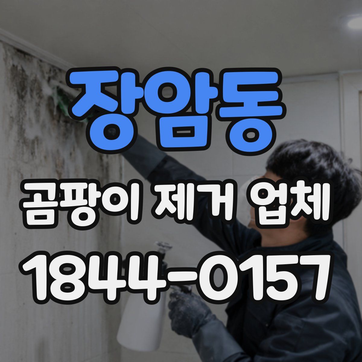 장암동 곰팡이 제거 업체