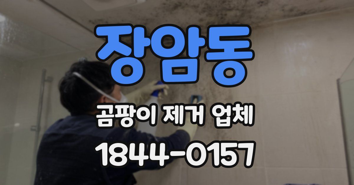장암동 곰팡이 제거 업체