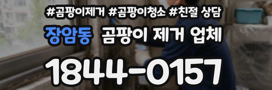 장암동 곰팡이 제거 업체