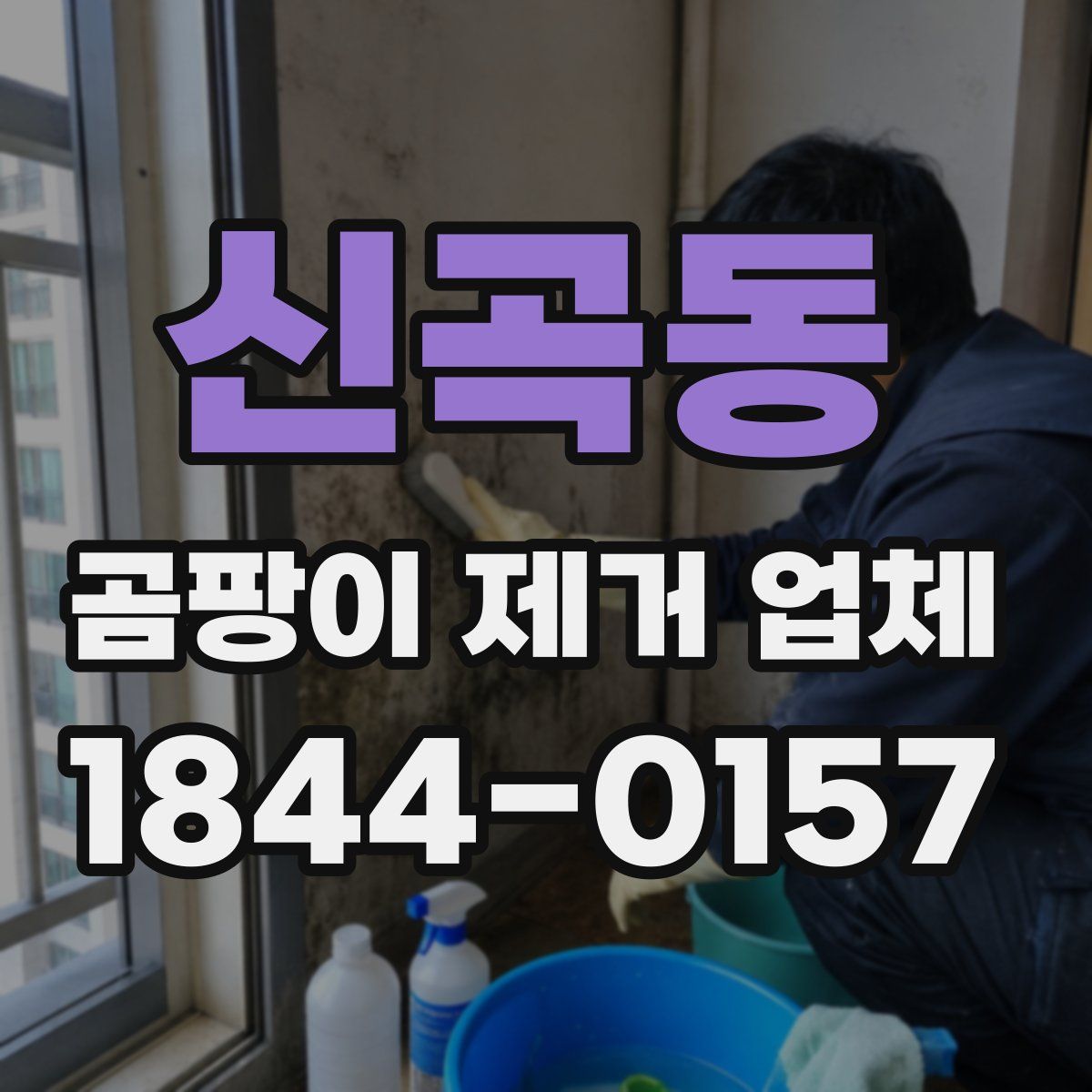신곡동 곰팡이 제거 업체