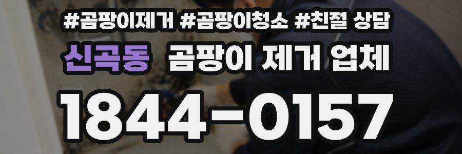신곡동 곰팡이 제거 업체