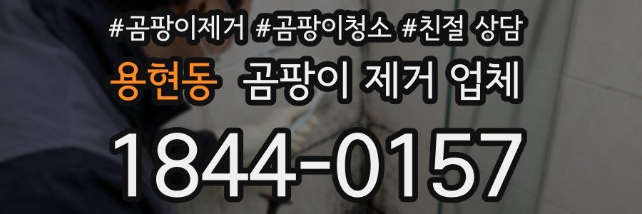 용현동 곰팡이 제거 업체