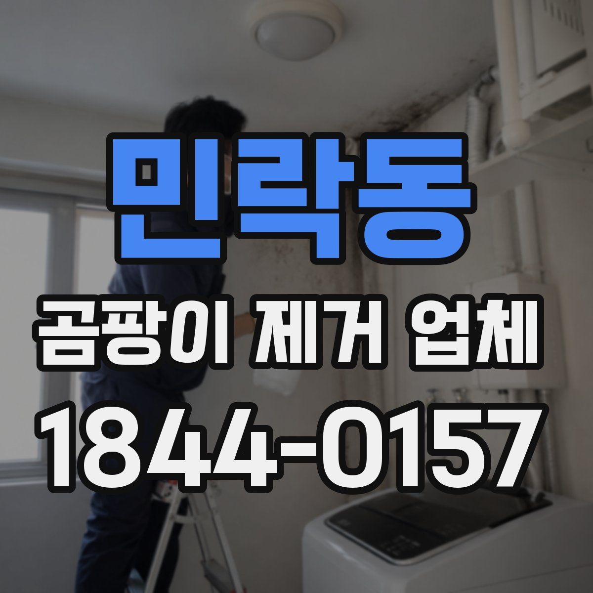 민락동 곰팡이 제거 업체