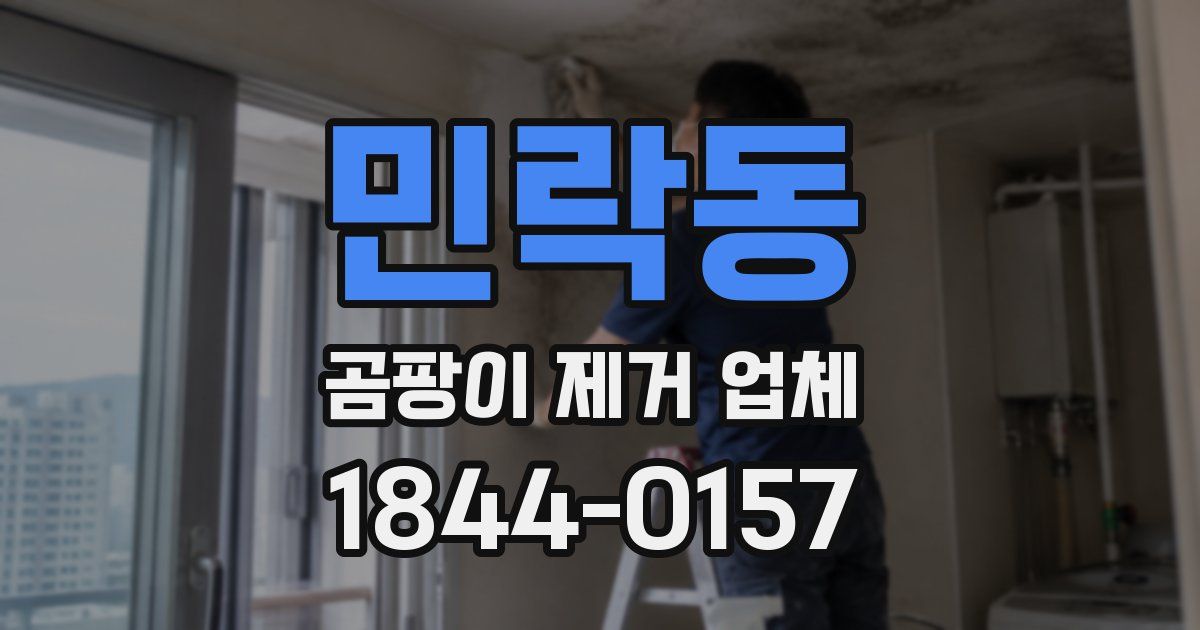 민락동 곰팡이 제거 업체