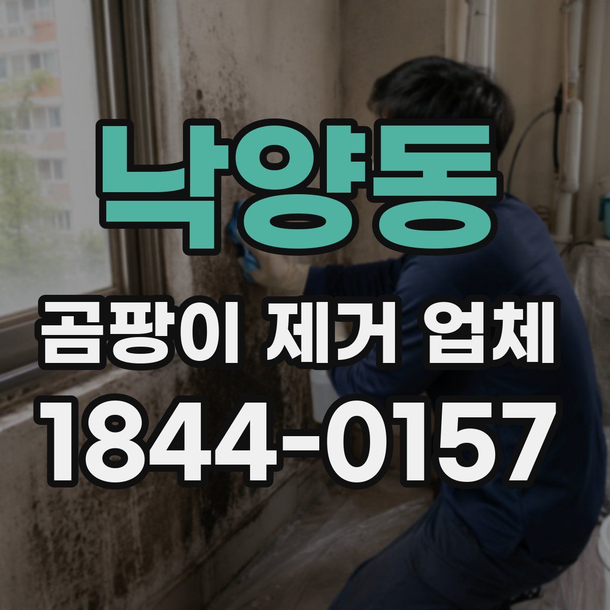 낙양동 곰팡이 제거 업체