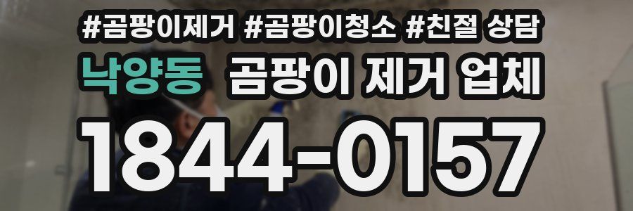 낙양동 곰팡이 제거 업체