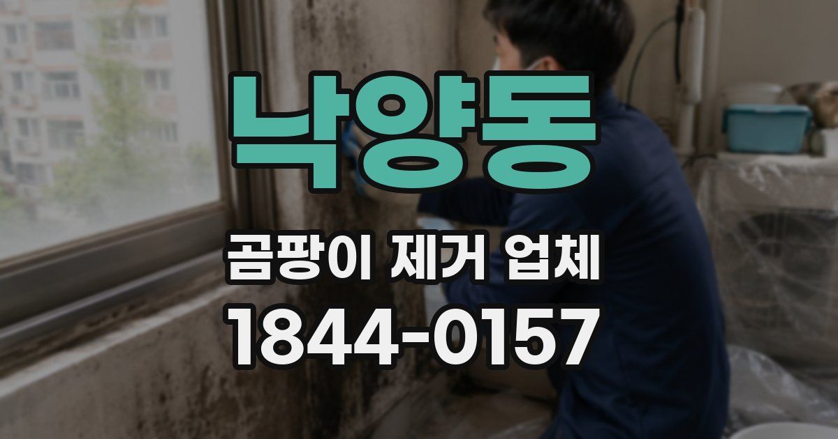 낙양동 곰팡이 제거 업체