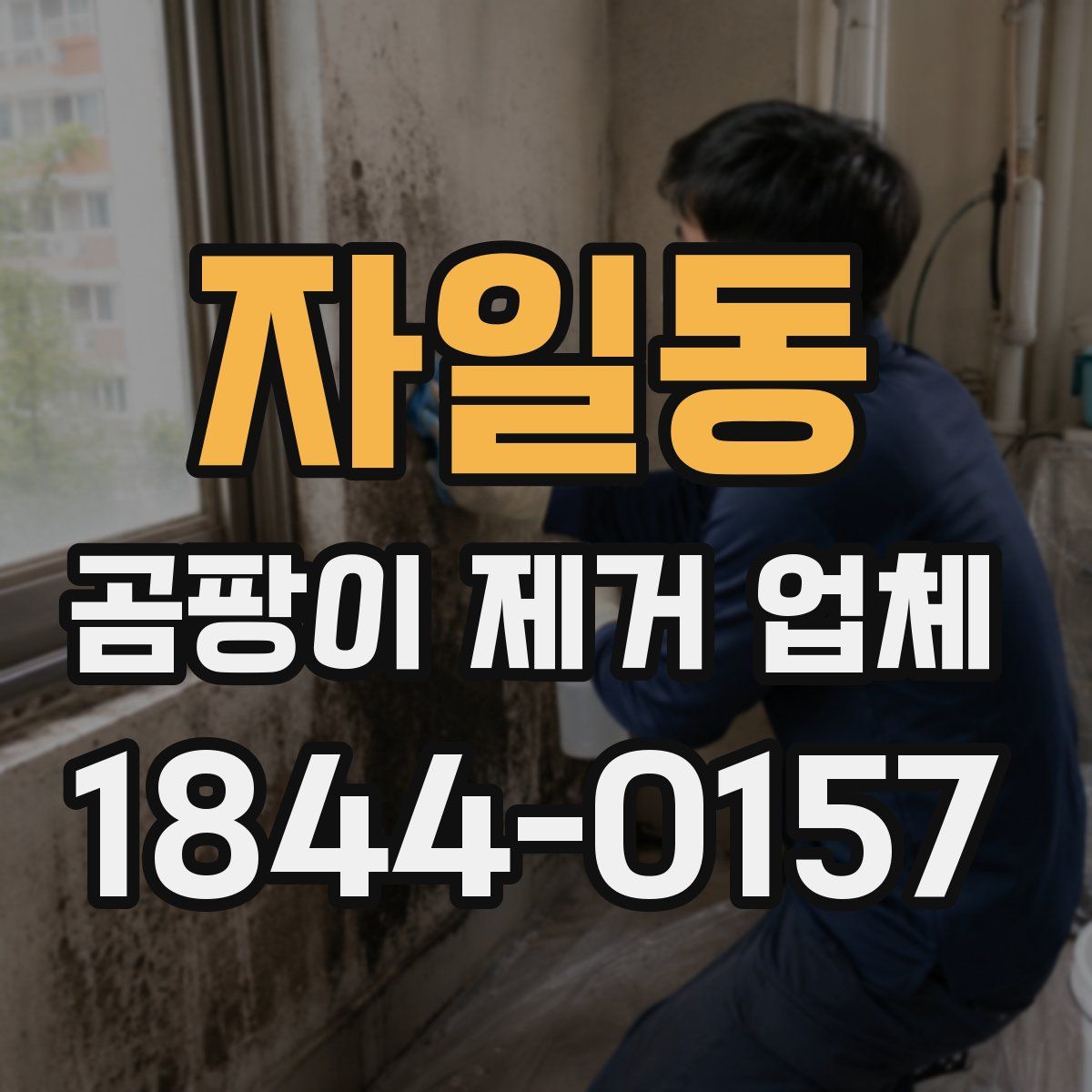 자일동 곰팡이 제거 업체