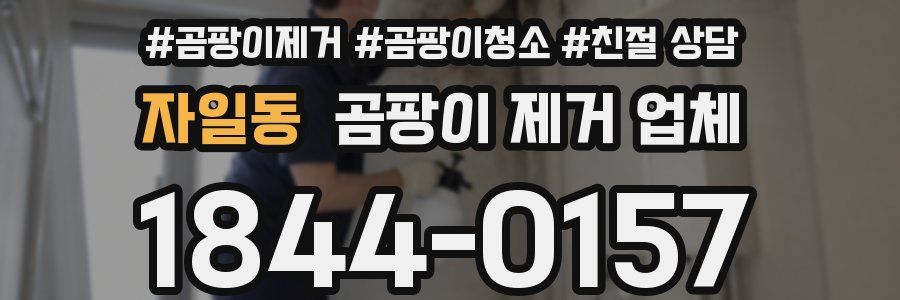 자일동 곰팡이 제거 업체
