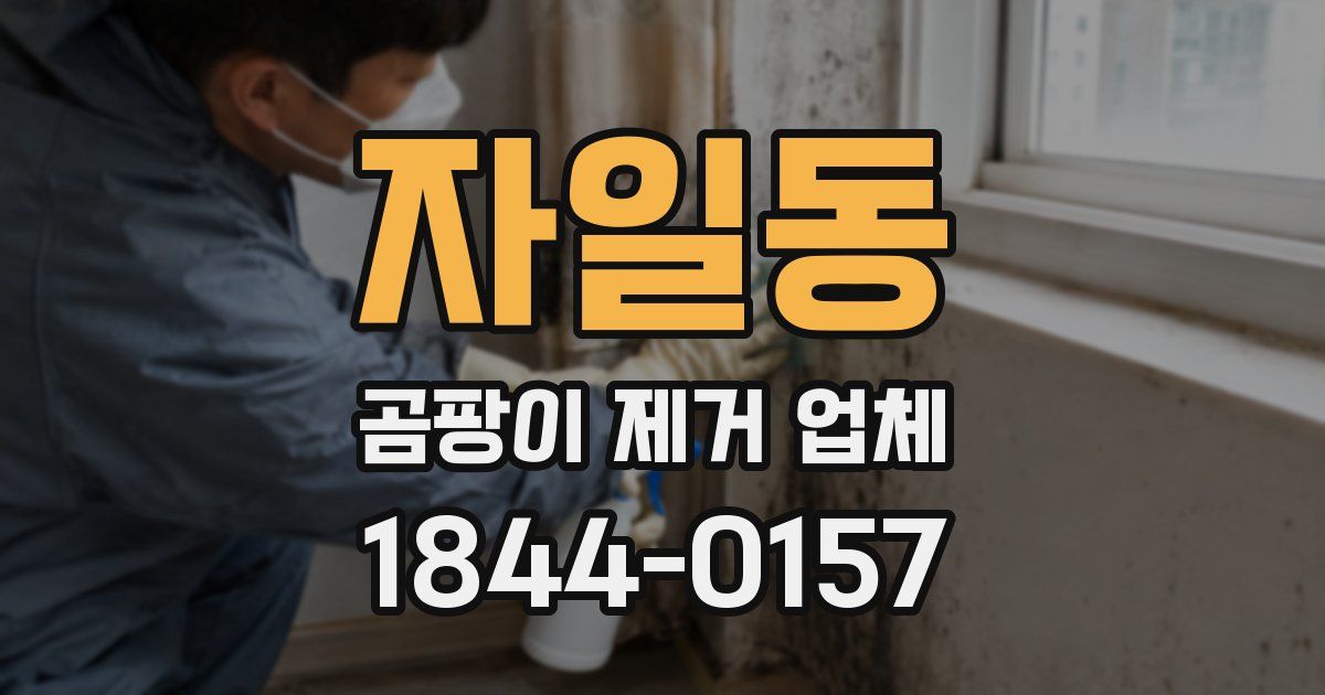 자일동 곰팡이 제거 업체